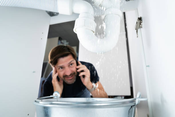 Best Commercial Plumbing Services  in Globe, AZ